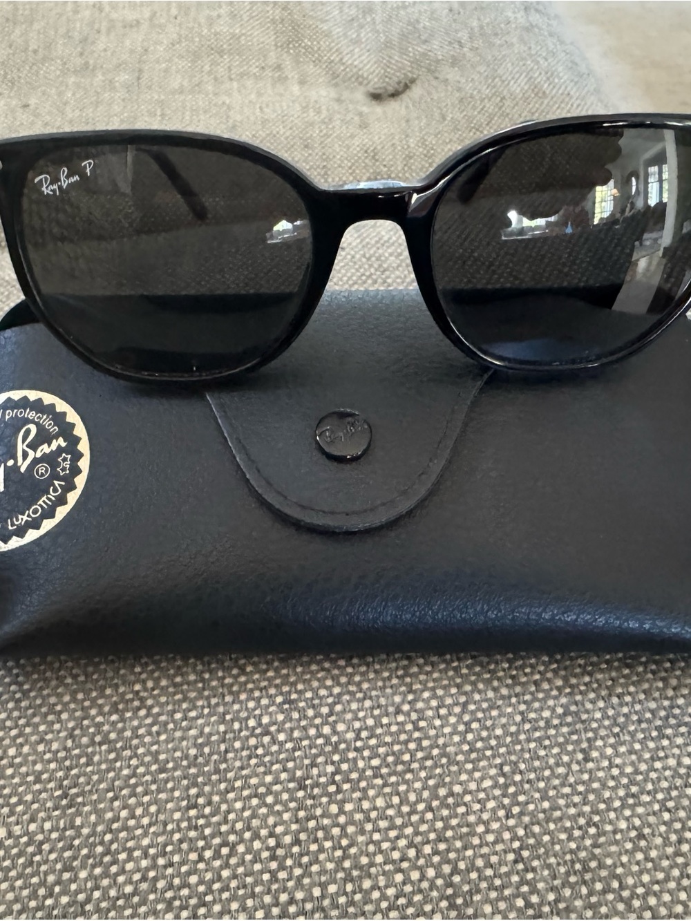 Ray-Ban Black Sunglass with Case